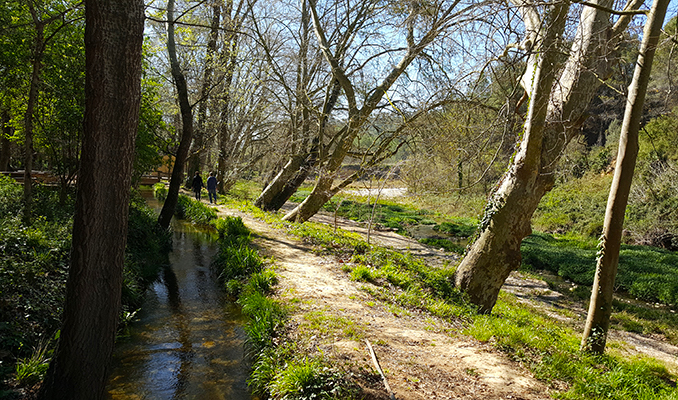 Ruta del Cister