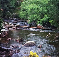 De camí cap a les Bulloses, foto de Miquel Mompart