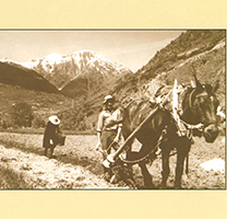Antigues maneres de fer a pagès Antigues maneres de fer a pagès
