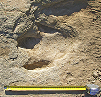 Petjada de dinosaure a Basturs, Isona i Conca Dellà Petjada de dinosaure a Basturs, Isona i Conca Dellà