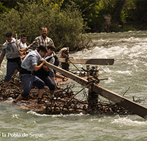 Rai baixant pel Noguera Pallaresa, a l'alçada de la Pobla de Segur