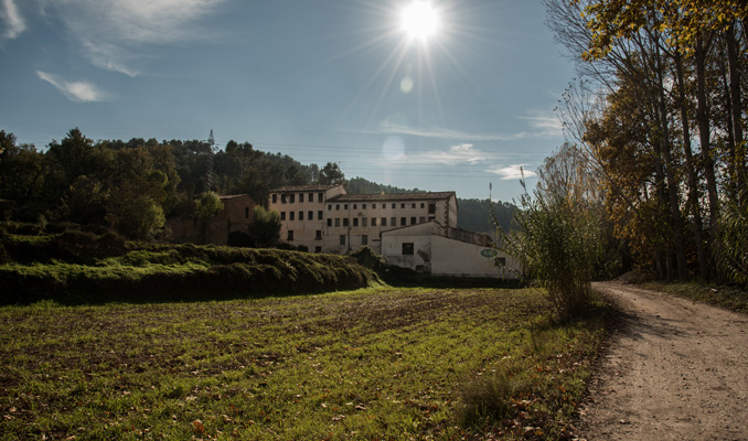 Els Camins del Paper