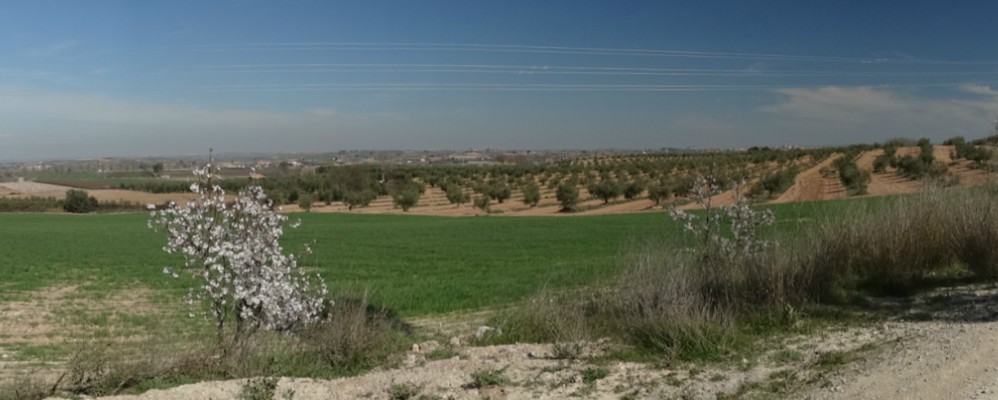 ponent, terra, entorn, natura, història, llegenda, XIX, bandolers, romanticisme, Urgell, Pla Urgell, Garrigues, Segrià, març, 2017, Sutdecasa Ponent