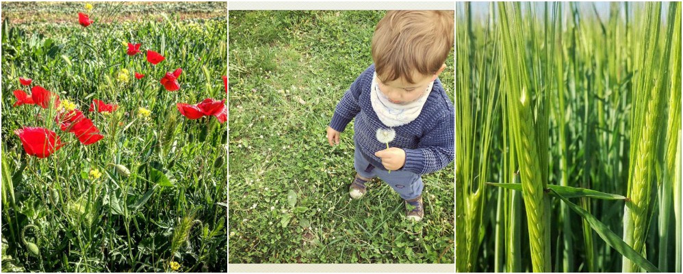fotografies, imatges, Instagram, Surtdecasa Ponent, abril, Setmana Santa, igers, 2017