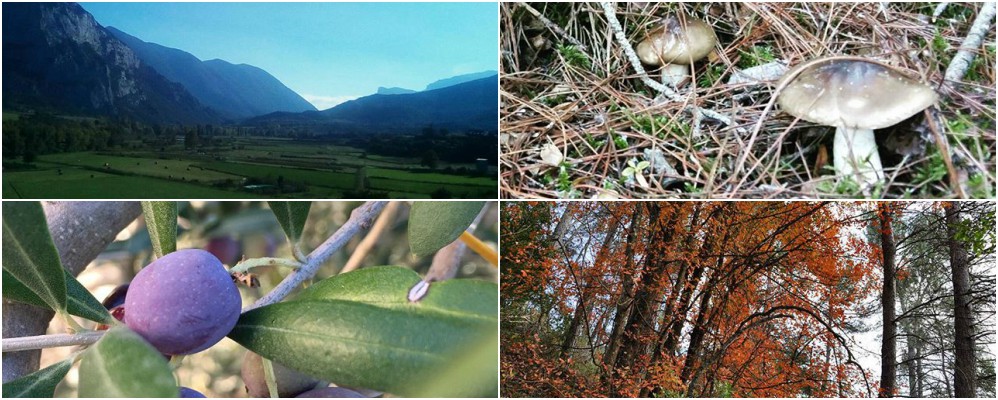 instagram, fotografies, cap de setmana, octubre, Surtdecasa Ponent, 2016