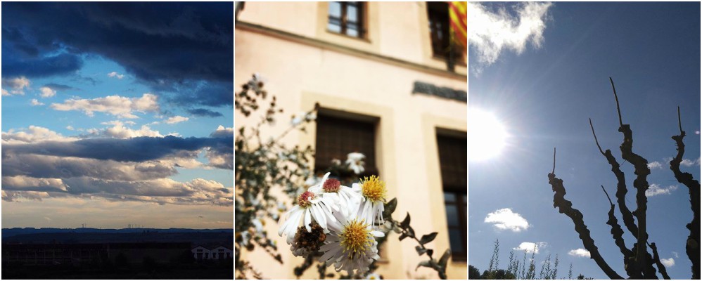 instagram, novembre, cap de setmana, fotografies, Natura, camp, Activitat, Cultura, Surtdecasa Ponent, 2016