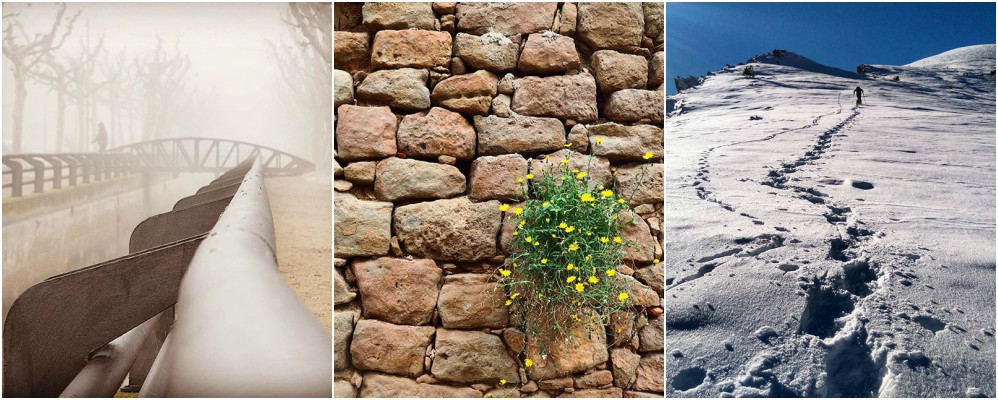 instagram, fotografies, cap de setmana, desembre, tardor, 2016, Surtdecasa Ponent