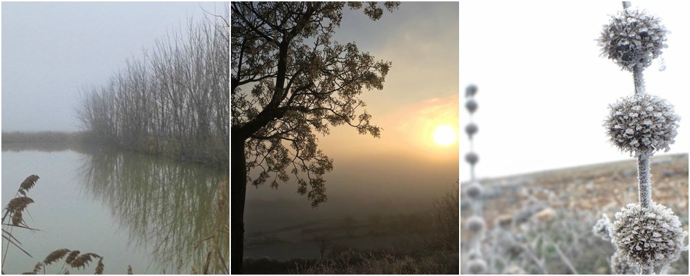 instagram, fotografies, Surtdecasa Ponent, desembre, gener, 2016, 2017