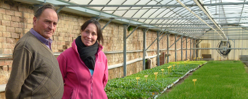 Fira de Reis d'Igualada