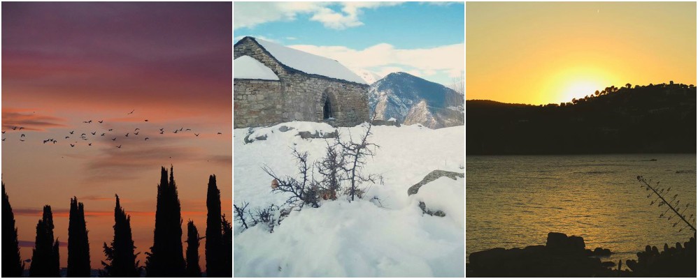 instagram, fotografies, gener, Surtdecasa Ponent, 2017
