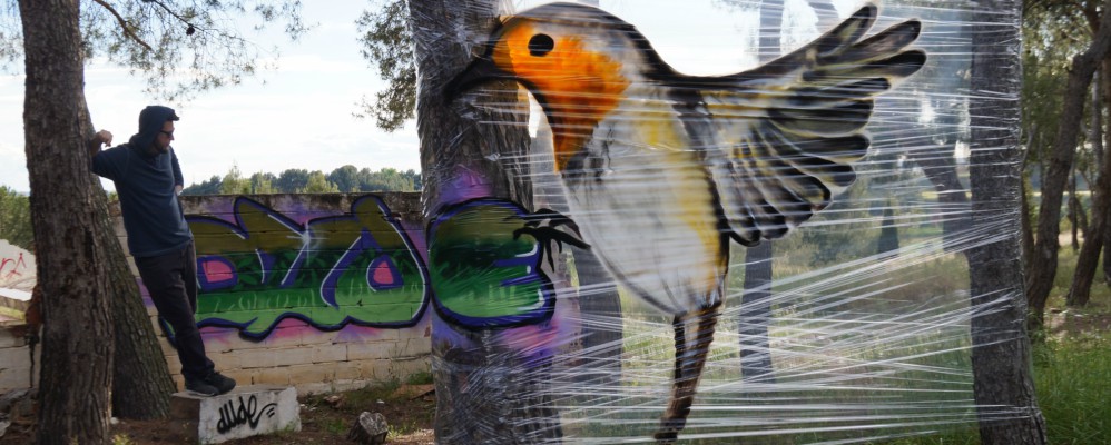Dude, entrevista, graffiti, cellografiti, Lleida, Surtdecasa Ponent