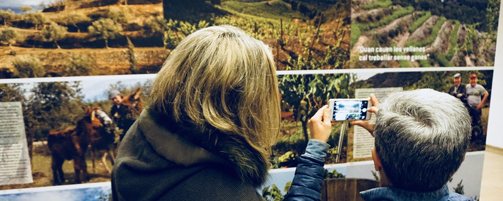 Exposició Alimentació