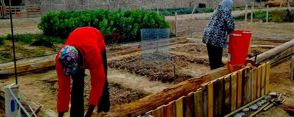Agricultura ecològica