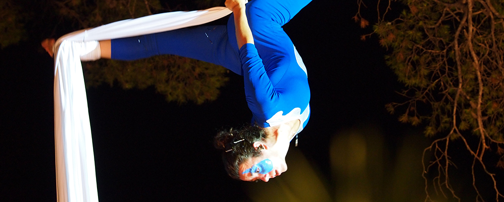 Nit dels Artistes de Cambrils Nit dels Artistes de Cambrils