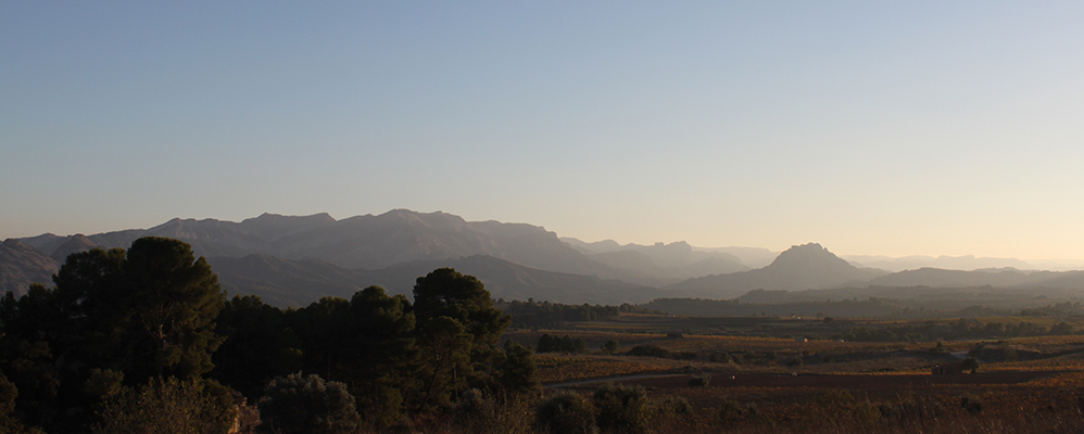 Paisatge Paisatge