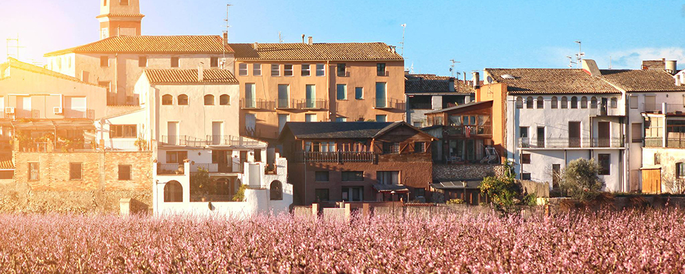 Floració