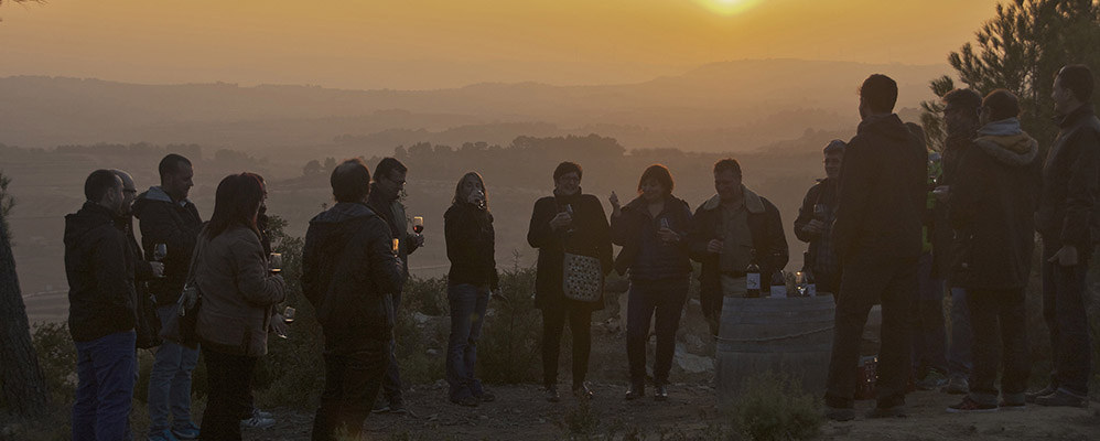 Tast de vins