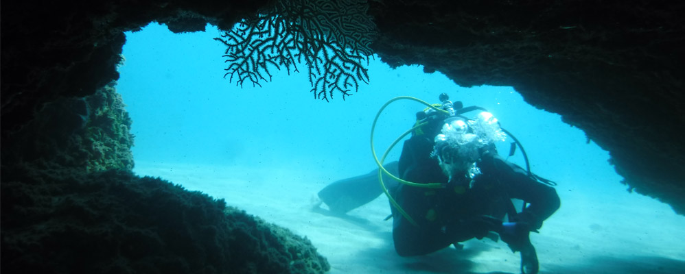 Submarinisme