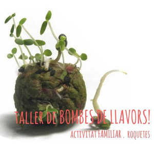 Taller de bombes de llavors - GEPEC