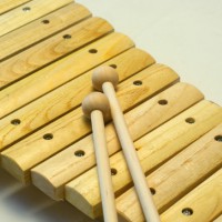 música, taller, Creixem amb la música, Tàrrega, Urgell, Surtdecasa Ponent, 2017