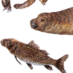 Exposició ‘El somni del taxidermista’ Exposició ‘El somni del taxidermista’