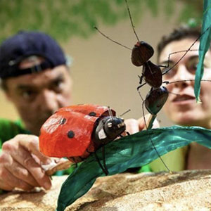Espectacle de titelles ‘Les faules de l’equilibri. El meravellós món dels insectes’