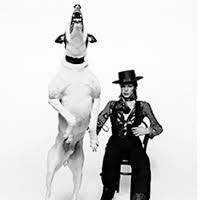 Terry O'Neill: El rostre de les llegendes