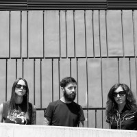 The lizards