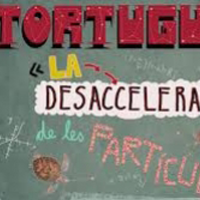 Tortugues o la desacceleració de les partícules