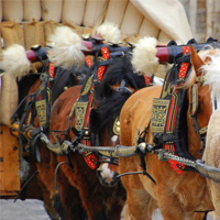 Tres Tombs a Martorell