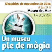 Un museu ple de màgia