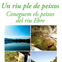 Activitats 'Un riu ple de peixos' - Setmana de la Ciència 2015