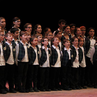 Coral Els Verdums