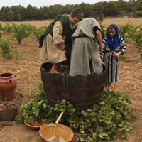 Àmfores del vi de la Passió - Vilalba dels Arcs
