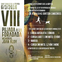 VIII Pujada a la Foradada - Memorial Joan Aloy - La Ràpita 2016 VIII Pujada a la Foradada - Memorial Joan Aloy - La Ràpita 2016