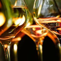 Vins & Tasts sota les estrelles