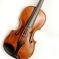 Violí