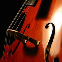 Violoncel