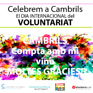 Taula d’experiències ‘El voluntariat transforma la vida’ Taula d’experiències ‘El voluntariat transforma la vida’