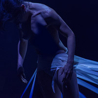 Espectacle 'When the dogs assailed their masters' - Rootlessroot