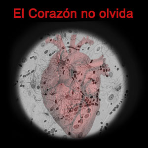 Conferència teatralitzada ‘El corazón no olvida’ Conferència teatralitzada ‘El corazón no olvida’