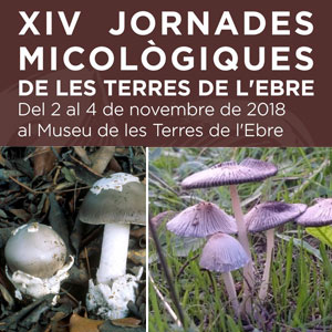 XIV Jornades Micològiques de les Terres de l'Ebre - Amposta 2018 XIV Jornades Micològiques de les Terres de l'Ebre - Amposta 2018