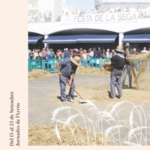 XIX Jornades de l'Arròs de L'Ampolla - 2018 XIX Jornades de l'Arròs de L'Ampolla - 2018