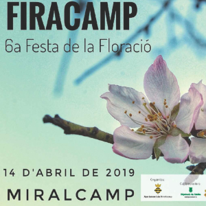 Firacamp