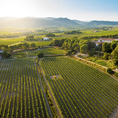 La Primavera del Cava, Caves Bolet, Castellví de la Marca, 2023