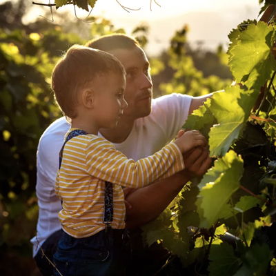 Els nens a la vinya, Celler Carol Vallès, Subirats, La Primavera del Cava, AeCava, 2023