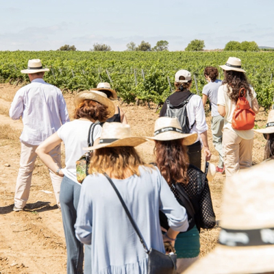 Cava Rovellats, Sant Martí Sarroca, La Primavera del Cava, 2023