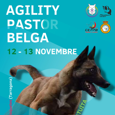 Agility Pastor Belga, Roquetes 2022 Agility Pastor Belga, Roquetes 2022