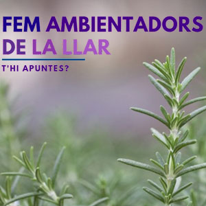 Taller 'Fem ambientadors de la llar'