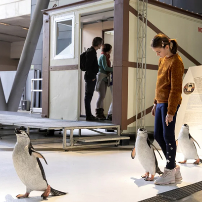 Visita-taller 'Anem a l'Antàrtida', CosmoCaixa, Barcelona, 2025